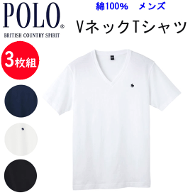 3枚組 まとめ買い メンズ 半袖 Tシャツ POLO BCS ポロ VネックTシャツ 綿100％ 天竺 M-LL POLO BCS ブランド メンズ 下着 紳士 肌着 父の日 敬老の日 ギフト プレゼント コットン100％ V首 ワンポイント ロゴ刺繍 インナーウエア PBM315 定番 新作 定番 楽天 通販 送料込み