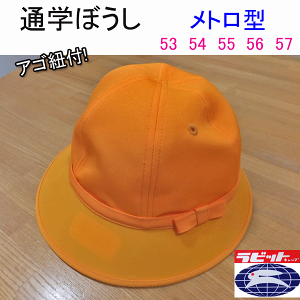 w ʊwڂ g^ Rt ʊwXq FXq rbg nbg FXq UVJbg \ 53-57 CG[ UDK w  wZߗ XN[pi ʊwp w ct ۈ牀 