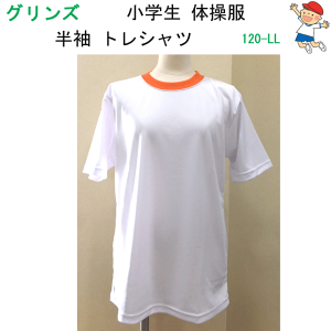 ̑ gVc 120-LL GREENS OY IW ̑ w  g[jOVc ̑  w Vw Vw XN[pi wZ ct ۈ牀 X|[cEGA W