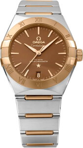 �I���K �R���X�e���[�V���� 131.20.36.20.13.001