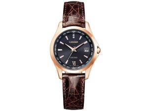 �V�`�Y�� �G�N�V�[�h �_�C���N�g�t���C�g�@�y�A�@�u�����v�w�̓��v���胂�f�� �G�R�E�h���C�u ���f�B�[�X �r���v EC1122-02E