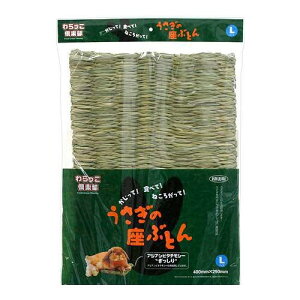  ̍ԂƂ L 1×6  NbVEzc ll1_