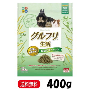 nCybg Ot qpybg 3̖qvX 400g