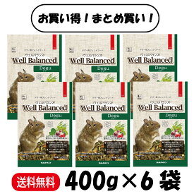 【まとめ買い 6袋】 三晃商会 ウェルバランス デグーフード デグー フード 400g ×6