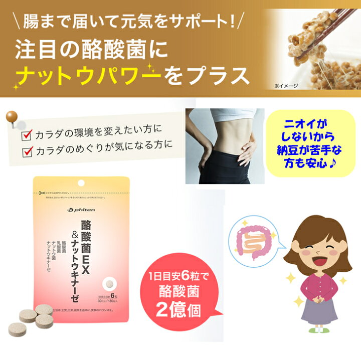 楽天市場】【ポイント5倍!!】【最強の善玉菌】ファイテン 酪酸菌EX 