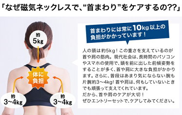 ファイテンエントリーセット