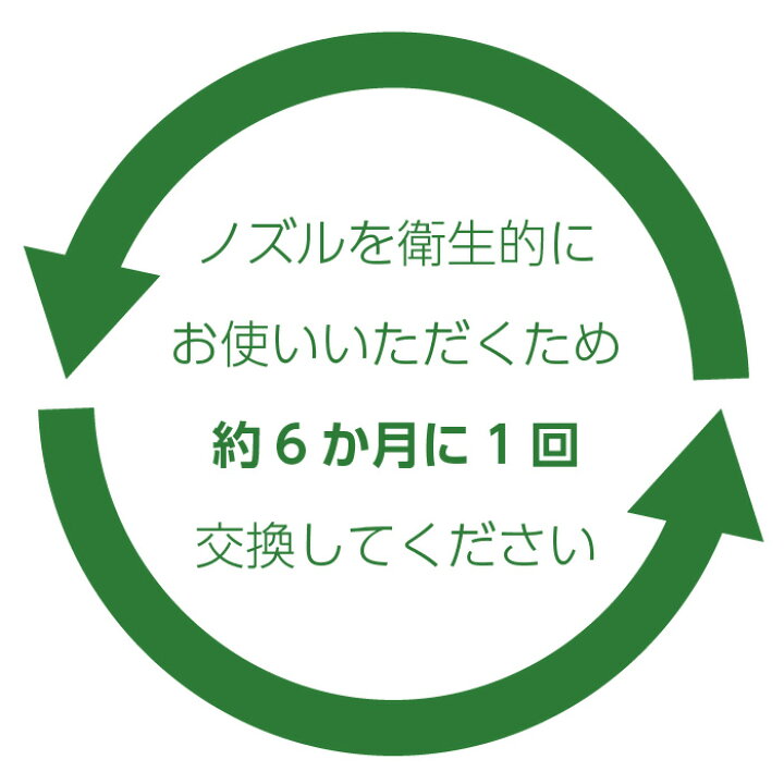 日本未発売 正規品 フィリップス ソニッケアー 電動歯ブラシ 替えブラシ エアーフロスノズル レギュラー2本 6ヶ月分 Hx8012 02 Swsj Org