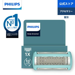 �t�B���b�v�X �{�f�B�[�O���[�}�[ �֐n BG2010/43 ���K�i �����i