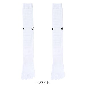 t@Ce X|[c\bNX 5{w O(2g) 5{w\bNX 5{wC nC\bNX Y Zbg fB[X X|[c uh \bNX X|[cC  A[`T|[g 5{wn