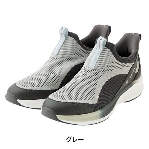 t@Ce Xb| (SW-066) Y Xj[J[ jp C EH[LO JWA ^C jbg ʋC y Vv phiten ^C