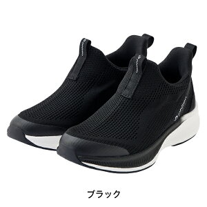 t@Ce Xb| (SW-066) fB[X