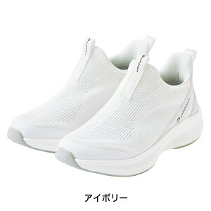 t@Ce Xb| (SW-066) fB[X