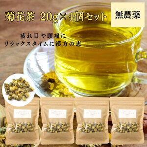 y10%ItN[|LzeԒ 20g _ I[KjbN  e ًe ōi Y F sgp n[ueB[ V XN ᐸJ ԕ ڂ̏[ ڂ̂ ̂ڂ  