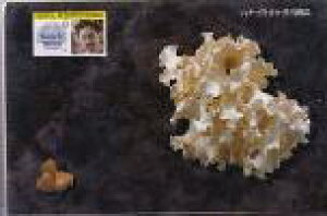 Ԃт炽inir^Pj250mg×180×2ysmtb-kzyw1z