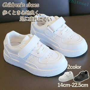 �w��2�_��5%OFF �X�j�[�J�[ �L�b�Y �W���j�A ���̎q �j�̎q �V���[�Y �C �^���C �q�� �q���C�����j���O�V���[�Y �}�W�b�N�e�[�v phoebehou �ʊw �X�|�[�c �y�� �J�W���A�� �V���v�� �^���� ���w��