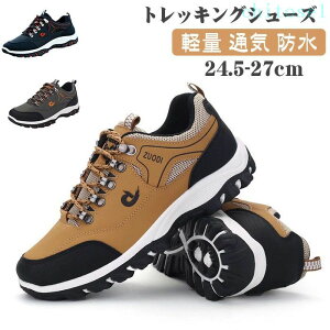 �w��2�_��5%OFF �g���b�L���O�V���[�Y �����Y �n�C�L���O�V���[�Y �h���V���[�Y �o�R�C �y�� �ʋC �E�H�[�L���O �ϖ��Ր� phoebehou ���L �X�j�[�J�[ �h�� ���[�J�b�g �E�H�[�L���O�V���[�Y ���f