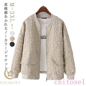 �w��2�_��5%OFF �W���P�b�g �V���[�g�W���P�b�g �m�[�J���[�W���P�b�g �g�b�v�X ���f�B�[�X �t �H �J�W���A�� �A�E�^�[ �m�[�J���[ phoebehou �u���]�� ������� ���ꂢ�� ���i�g�� ���� ���K 