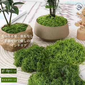 �w��2�_��5%OFF ���A���l�H�ۃ}�b�g �l�H���X�}�b�g DIY���|�f�� �t�F�C�N�O���[�� �~�� phoebehou �ϗt�A���p �����p�l�H�� �~�j�`���A�뉀 �e�����E�� �ȃX�y�[�X ������� �k�� �V���v�� �C��