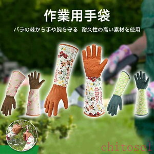 �w��2�_��5%OFF ���f�B�[�X ������� ���|�p�i �T�{�e����o���̙��� �d���� ����� �g�Q�h�~ �K�[�f�j���O��� �����O �K�[�f���O���[�u �O�r�ی� ���� ���|�p��� ��Ɨp��� phoebehou �֗� 