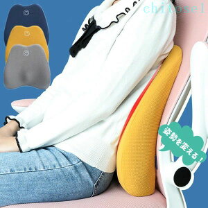 �w��2�_��5%OFF �o�b�N�� �w���ăN�b�V���� �I�t�B�X �ԃN�b�V���� ������ ���� �N�b�V���� �w������ �y�� �ʋ� phoebehou ���[�֗� �M�t�g ��e�� ������� �����Y ���s ���f�B�[�X �ʊw �A�E�g