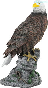 �w��2�_��5%OFF �Q���΍� �� �z�[�N �u�� �X�Y�� �J���X ���N�h�� �n�g �R�E���� �̔�Q���� �f�R�C phoebehou �������őϋv�� 30cm�� 30cm �y�V�s�� �l�C �������� ���p�I �֗� ���i�� �g���₷�� �V