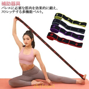 �w��2�_��5%OFF �x���g �_�C�G�b�g ���K �S�� ��� �W�� �̊� phoebehou �^�� �o���h �؃g�� �_���X �`���[�u �⏕��� �X�g���b�` �s���e�B�X �ؗ̓A�b�v �G�N�T�T�C�Y �g���[�j���O �t�B�b�g�l