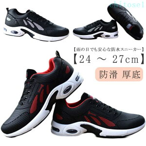 �w��2�_��5%OFF �E�H�[�L���O�V���[�Y �h���X�j�[�J�[ �h���V���[�Y �y�ʃX�j�[�J�[ �^���C phoebehou �X�j�[�J�[ �䕗 �����Y ������� �ʊw �A�E�g�h�A �X�|�[�c �ʋ� �J�̓� �J ��J �����j��