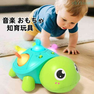 �w��2�_��5%OFF �������� �m��ߋ� ��������� ���y �j�̎q ���̎q phoebehou �a���� �v���[���g�������V�� �N���X�}�X �M�t�g ���蕨 �c�� �Ԃ���� �o�Y�j�� ���i�� �l�C �֗� ���p ���S ���K ��