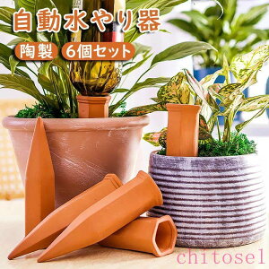 �w��2�_��5%OFF ���������L���b�v ���������� 6�Z�b�g 6pcs 10pcs���� �y�b�g�{�g�� ���� �i�σf�U�C�� ���������@ phoebehou ����� �}������ ���A�� �v�����^�[�g�p �K�[�f�j���O�p�i ��� 