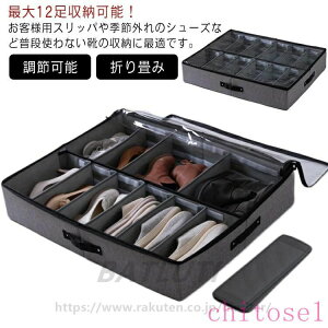 �w��2�_��5%OFF �P�[�X ���[�P�[�X �V���[�Y�P�[�X �V���[�Y�o�b�O �C �V���[�Y �V���[�Y���b�N phoebehou �V���[�Y�{�b�N�X �u�[�c �X�j�[�J�[ ����������[ ���[�{�b�N�X �ő�12�����[ �d�؂� 