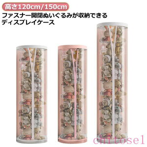 �w��2�_��5%OFF �ʂ�����ݎ��[ �ʂ�����ݎ��[�� �P�[�X �ʂ�����ݎ��[�{�b�N�X ����12 �t�@�X�i�[�t�� ���a26cm phoebehou �W�b�p�[�t�� ���p ���S ���K ��� �V���� �ƒ�p �O�o ���i�g�� ���i