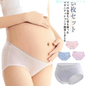 �w��2�_��5%OFF ���� �p���c �C���i�[ 5���Z�b�g �}�^�j�e�B �V���[�c ���n �X�g���b�` phoebehou �ۉ� ���[���C�Y ���� �V�[�����X ��� �o�Y���� ���� �Y�O �Y�� �D�P �D�w ���i���� �傫���T�C