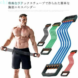 �w��2�_��5%OFF �G�L�X�p���_�[ �؃g�� 5�A�� �؃g���[�j���O �`���[�u ���ג��߉� �㔼�g ���� �S���� phoebehou �w�� ���� ��̘r �`�F�X�g�G�L�X�p���_�[ �������� ���� �w�� ���W�X�^���X�G�N