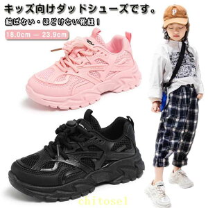 �w��2�_��5%OFF �_�b�h�X�j�[�J�[ ����X�j�[�J�[ �q�b�v�z�b�v �_���X�V���[�Y �L�b�Y �_���X �X�j�[�J�[ ���b�V�� ���΂Ȃ� phoebehou �قǂ��Ȃ� �C�R �^���C �_���X�C �����j���O�V���[�Y ��