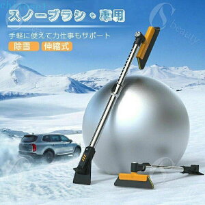 �w��2�_��5%OFF �R���p�N�g���[ �ԗp �ԗp�X�m�[�u���V ������ �S�Ԏ�Ή� �L�k �L�k�� �X�m�[�u���V �ϐ�΍� ����u���V 360°��] ����� �Ⴉ�� �X�R�b�v phoebehou ����X�R�b�v �A�C�X�X�N��