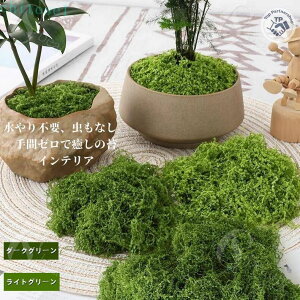 �w��2�_��5%OFF ���A���l�H�ۃ}�b�g �l�H���X�}�b�g DIY���|�f�� �t�F�C�N�O���[�� �~��?�ϗt�A���p �����p�l�H�� �~�j�`���A�뉀?�e�����E�� ���[ phoebehou �֗� ������� �ȃX�y�[�X �k�� �C��