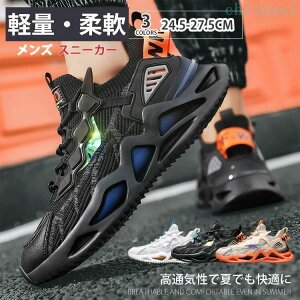 �w��2�_��5%OFF �����j���O�V���[�Y �W���M���O�V���[�Y �^���C �X�j�[�J�[ �����Y�X�j�[�J�[ �C �ʊw�C �����Y �ʋC�� phoebehou �y�� �h�� �J�W���A�� �ʊw �ʋ� �E�H�[�L���O �� �� ���L �I�[