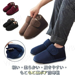 �w��2�_��5%OFF �h���C ���C ���[���V���[�Y �h���u�[�c �������� ����~�� �y�� �~ �₦�΍� ���{�A phoebehou ���[�g�b�v �a�m �ɂ��Ȃ� �w�l�p �� ���N��� �� ����� �h�V�̓� ���O ���� ��
