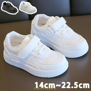 �w��2�_��5%OFF �X�|�[�c �_���X�V���[�Y �X�j�[�J�[ �V���[�Y �u���b�N �L�b�Y �q�� �j�����p �q���C ���n �y�� phoebehou �ʋC�� �ʊw �J�W���A�� �C�x���g ���K�� �^���C ���i�� ���w�� �ʉ� ��