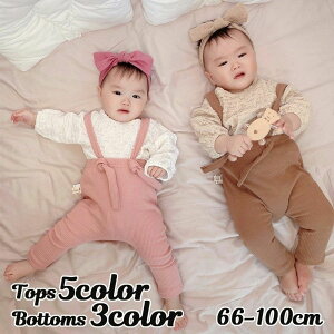 �w��2�_��5%OFF �����O�p���c �q���� �L�b�Y ���u �x�r�[ �V���� ���̎q �j�̎q �M�t�g �Ԃ���� �V�����H �g�b�v�X ���Y�{�� ������� phoebehou ���킢�� ���o���� �f�C���[ �o�Y�j�� ���Ԍ���5%