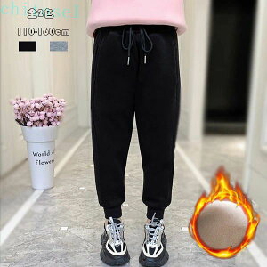 �w��2�_��5%OFF �q���p���c �X�E�F�b�g�p���c �u���b�N �{�g���X ���Y�{�� �����O�p���c �L�b�Y ���̎q �h�����Q ���N�� ���i�� �~�� �~�p ���o���� phoebehou �ʊw ���n �O���[ �x�[�V�b�N �^��