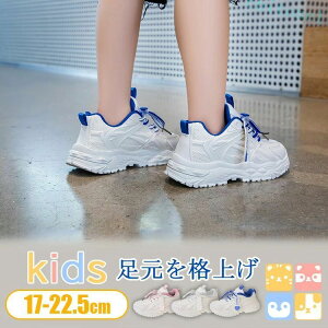 �w��2�_��5%OFF �q���C �^���C �A�N�A�V���[�Y ���K�ȗ����S�n �L�b�Y �W���[�X���̎q �j�̎q phoebehou �W���j�A �L�b�Y�W���[�X17 �X�|�[�c�_�炩�� �y�� ����~�� �������ʉ� �ʊw �X �j�[�J