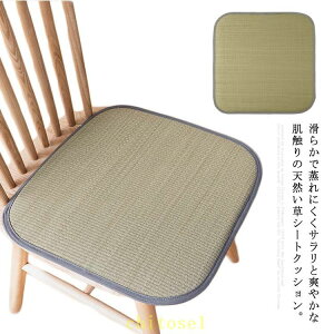 �w��2�_��5%OFF �����V�[�g�N�b�V���� �ėp���z�c �ԗp �V�[�g�N�b�V���� ���z�c phoebehou ��45×45cm �X�N�G�A ����~�� ����Ȃ� ���K �V�R���� �R�� �h�L ���� �i�`������ �R���p�N�g ���@�\ �v