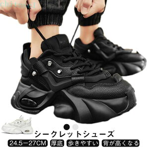 �w��2�_��5%OFF �V�[�N���b�g�V���[�Y �X�j�[�J�[ �V�[�N���b�g�X�j�[�J�[ �r�W�l�X�V���[�Y ����X�j�[�J�[ ���[�X�A�b�v�V���[�Y �V�[�N���b�g�u�[�c �g��up phoebehou �����Y �ʋC�� �X�|�[