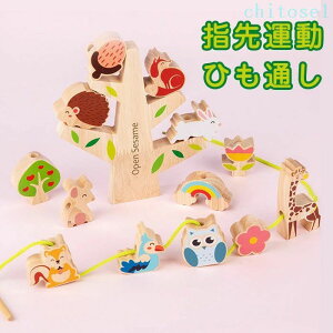 �w��2�_��5%OFF �������� 3�� �L�b�Y ���̎q �j�̎q phoebehou �M�t�g �N���X�}�X �v���[���g �a���� 4�� 2�� �o�Y�j�� �I���`�� �l�C �������� �V���v�� ���i�� �֗� ���p ���S ���K ��� �V���� ��
