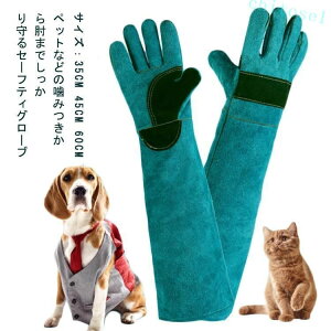 �w��2�_��5%OFF �y�b�g��� �L �y�b�g�O���[�u �� ���݂��h�~ ��� �I�ׂ钷�� �h�~ ���� 35cm 45cm �y�b�g �����~�� 60cm ঒��ޗp ���v �� �y�b�g�p�i ���p �L�p ���^�� ���^�� ���� �ʔ� phoebehou