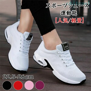 �w��2�_��5%OFF �X�j�[�J�[ �E�H�[�L���O�V���[�Y �����j���O�V���[�Y �C �^���C phoebehou �W���M���O�V���[�Y �V���[�Y �X�|�[�c�V���[�Y �g���[�j���O�V���[�Y ���� ���f�B�[�X �O������ ��