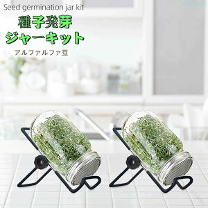 �w��2�_��5%OFF �X�e�����X�X�`�[�� ��q����W���[�L�b�g ��q���萬���L�b�g�Z�b�g �u���b�R���[ �u���b�R���[�X�v���E�g ��q phoebehou �A���t�@���t�@�� �X�v���E�g�͔|�L�b�g ���₵�͔|