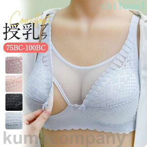 �w��2�_��5%OFF �����b�N�X �O�J�� �����u�� �}�^�j�e�B�u�� ����u�� �i�C�g�u�� �Y�O �Y�� �C���i�[ �m�����C���[ phoebehou �u���W���[ ���� ����h�~ ���� ���K ���[�p�i �ȃX�y�[�X ��������