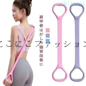 �w��2�_��5%OFF ���K�o���h �X�g���b�`�o���h ����~�� �W���p �w�� �t�B�b�g�l�X�o���h �g���[�j���O�`���[�u phoebehou �؃g�� �o���h 8�̎��o���h ��������� �g���[�j���O�o���h �s���e�B�X 